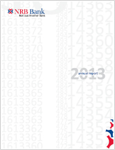 annual report 2013