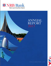 annual report 2017